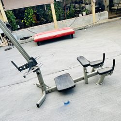 Kickback - Glute Machine