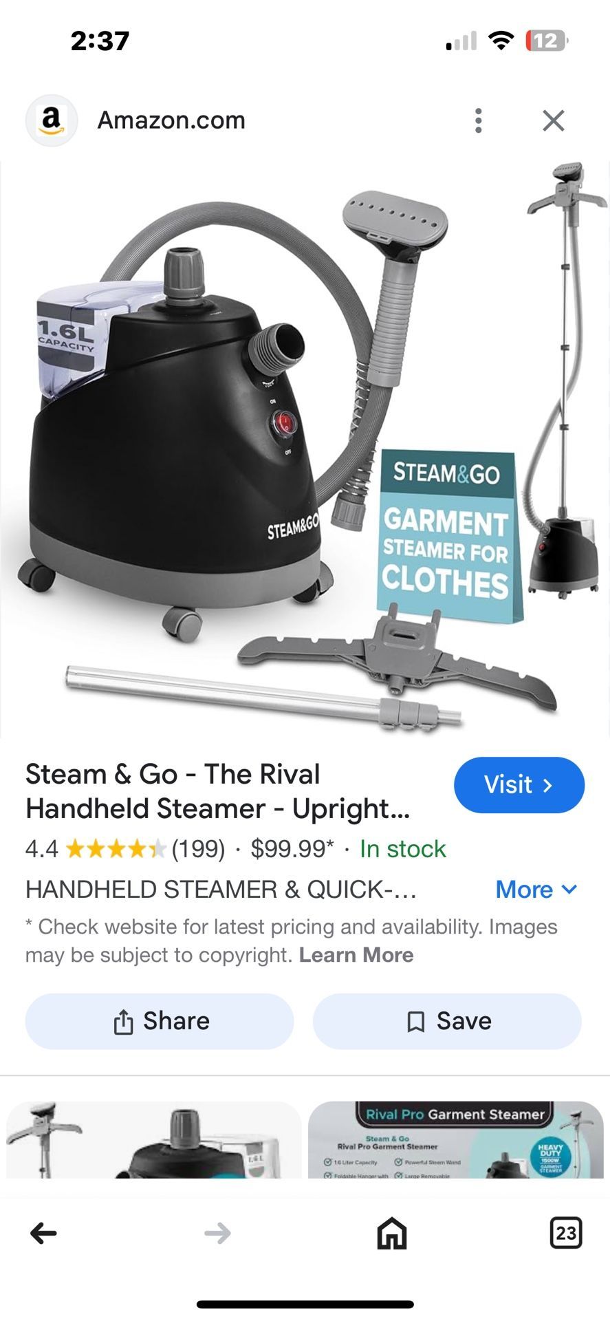 Stream And Go Standing Fabric Steamer