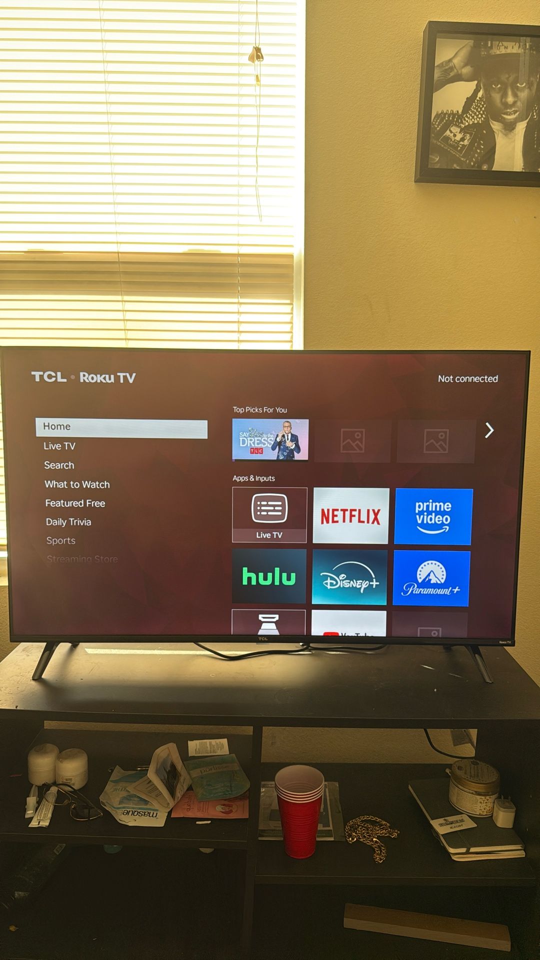 40 inch Roku TV