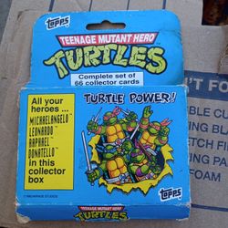 Teenage Mutant Ninja Turtles Collector Card Set