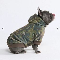 Spark Paws Dog Hoodie