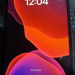 Used Unlocked iPad Pro 11-inch  8th Gen 128 GB w/ Cellular Capabilities 