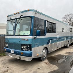 1993 Safari Serengeti