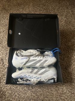 Polar victory’s