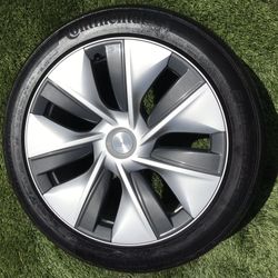 Tesla Model Y Wheels