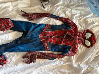 The amazing Spider-Man