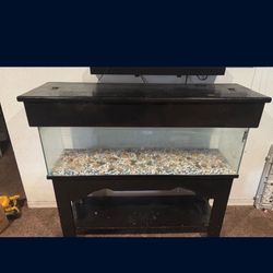 60 Gallon Fish Tank With Stand And Rocks 