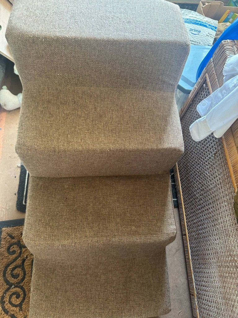 Cat Or Dog Stair