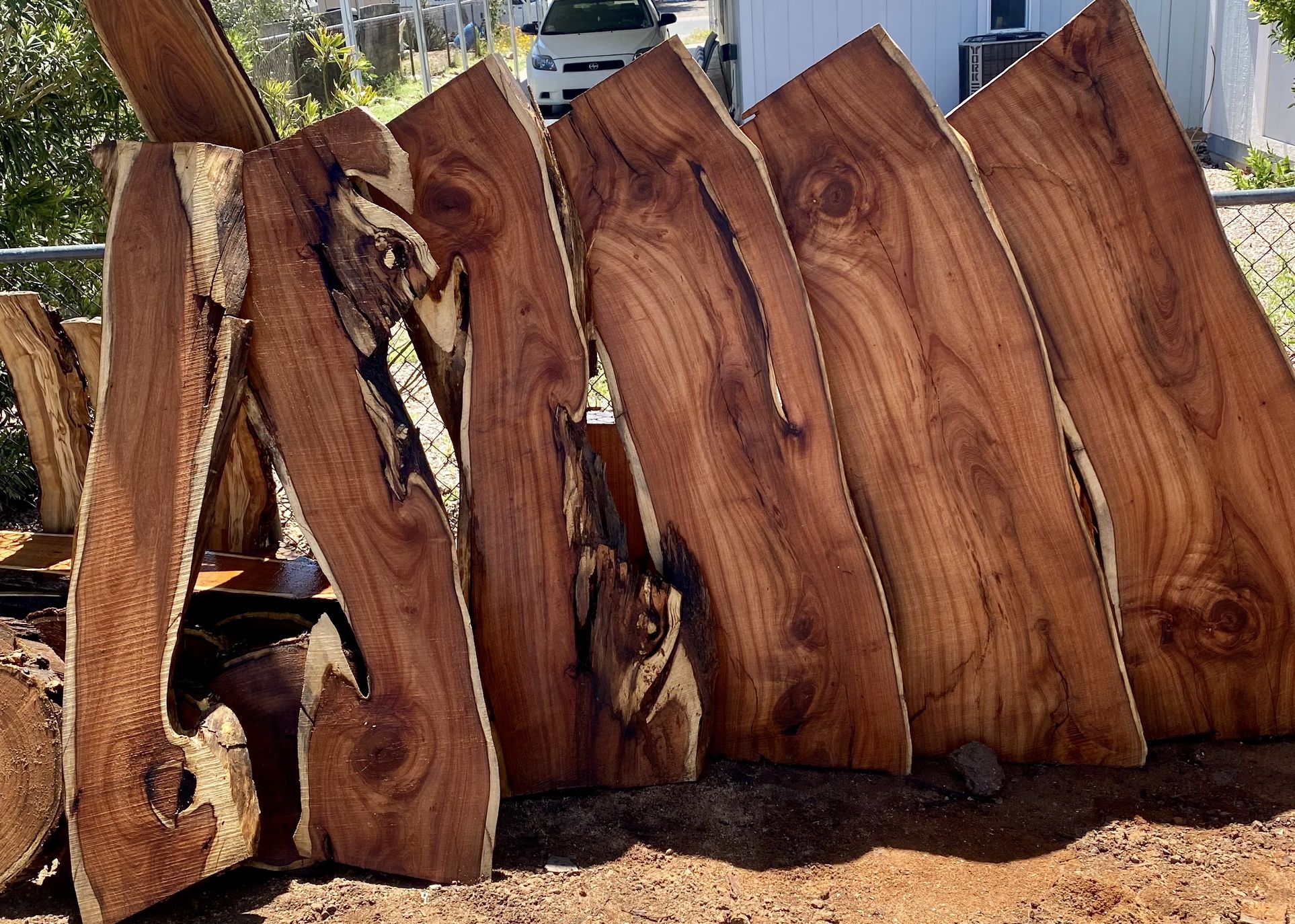 Large Mesquite Live Edge Wood Slabs. 5’ Long