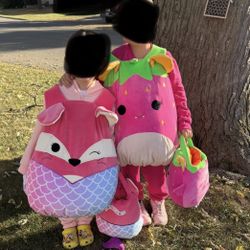 Squishmallow Girls Costume Fifi And Neon Strawberry