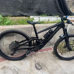 Specialized Turbo Kenevo bike