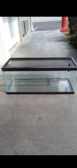 20 Terrarium holds water no cracks Pickup time in the description price is firm