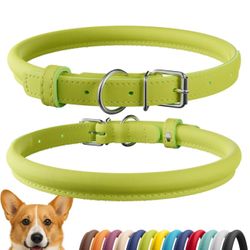 CollarDirect Rolled Leather Dog Collar,