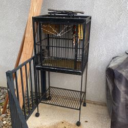 Bird Cage