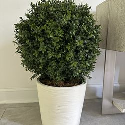 Pair Of Faux Topiary Boxwood Plants