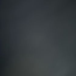 Can’t Post Pics But I Have 8 Week Old Pastor Belgian Puppies.