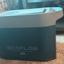 EcoFlow Smart Extra Battery