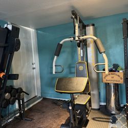 Golds Gym Weight Machine