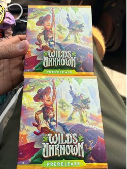 Lorcana wilds unknown