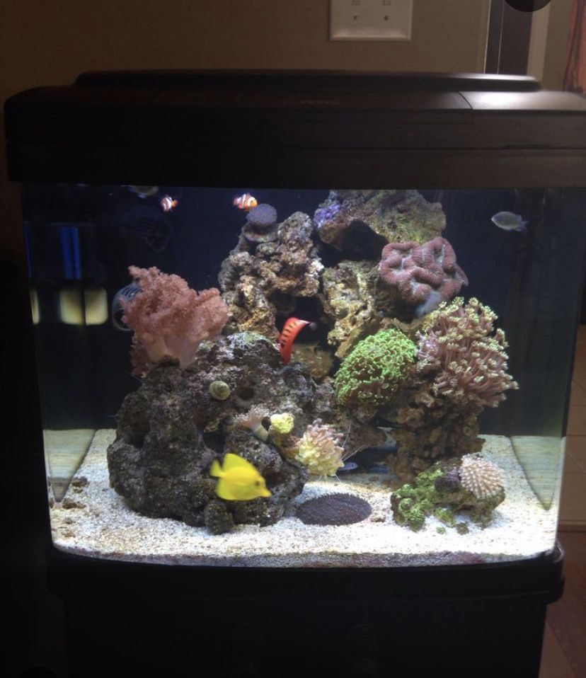 Bio Cube Aquarium