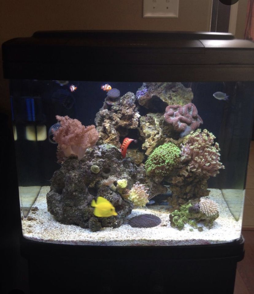 Bio Cube Aquarium 