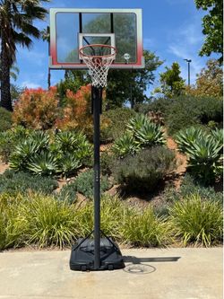 FREE Basketball Hoop