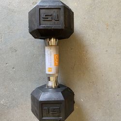 15lb Dumbbell