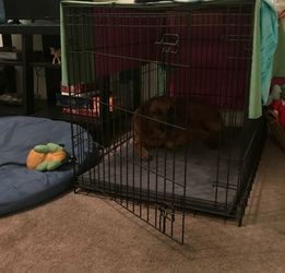 Large Dog Crate