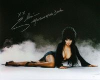 Cassandra Peterson Signed "Elvira: Mistress of the Dark" 16x20 Photo Inscribed "XX" & "Mistress of the Dark" (JSA)