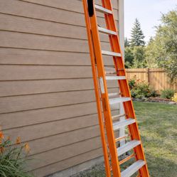 12 Ft Ladder 