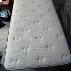 Adjustable  Twin Bed