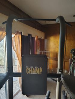 Pull Up, Dip, Push Up Station 40