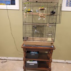  Large Cage for Parakeet. birds