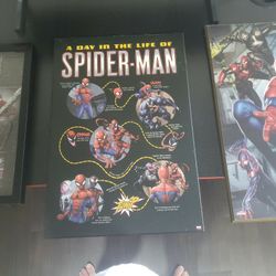 Spider Man And Marvel Collection Poster And AVENGERs Poster