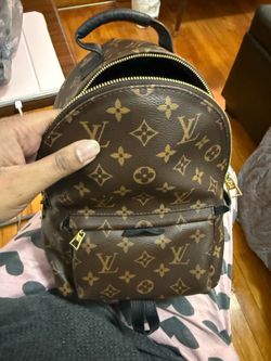 Louis Vuitton Palm Springs PM backpack