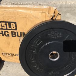 35lb Rogue HG Bumper Plates 