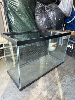 Fish tank