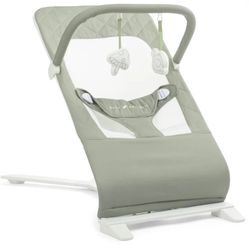 Baby Delight Alpine Organic Deluxe Portable Bouncer