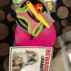 Rabbit Bunny Bowl And Etc Bundle