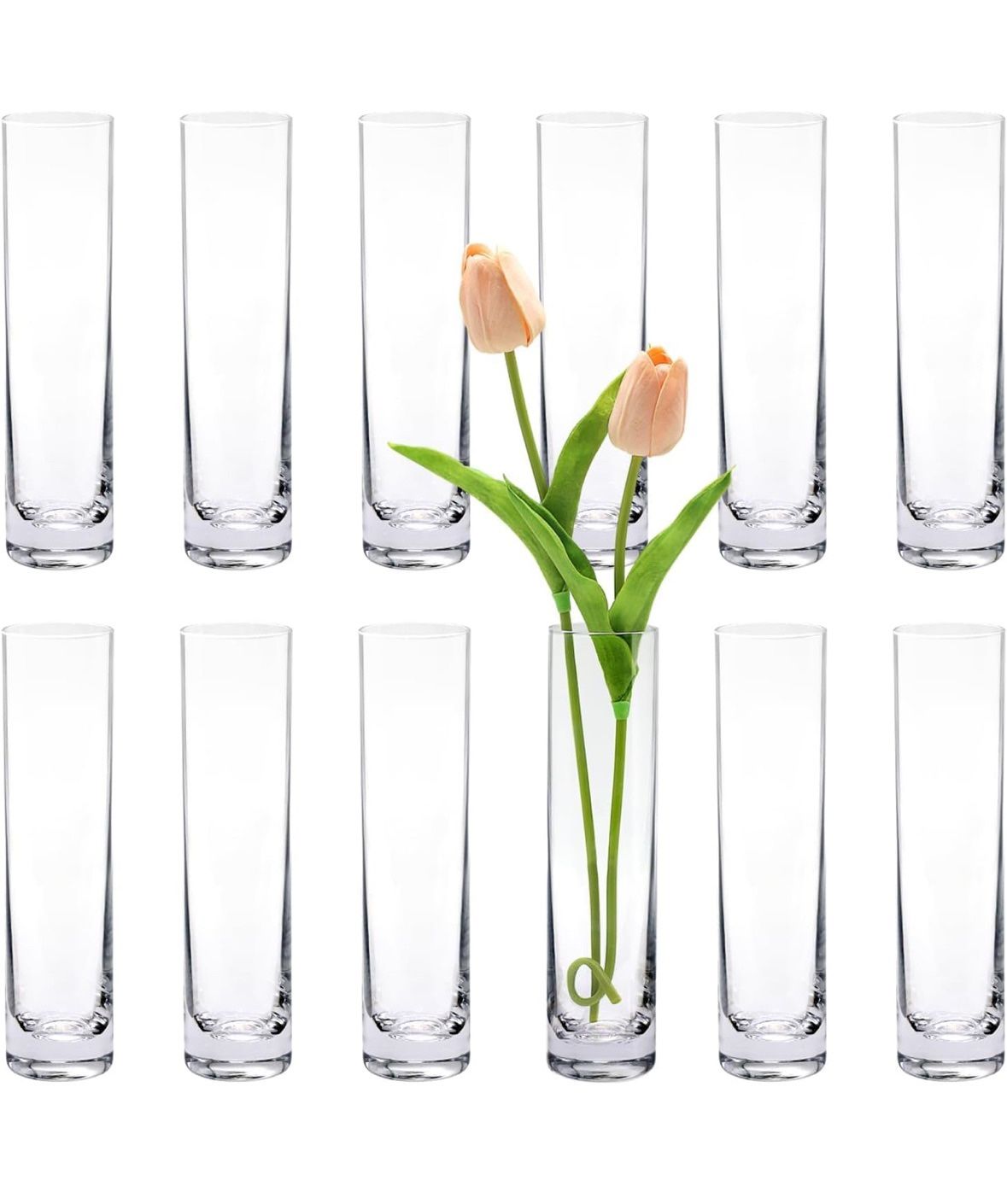 Glass Vases - 12 Count 