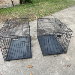 Dog Kennel