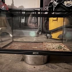 Reptile Tank