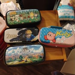 Nintendo switch cases All For $30
