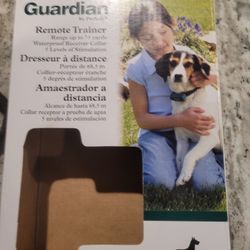 Dog Trainer 