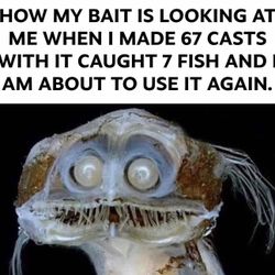 Fishing/Hiking/Camping/Vintage Camping Gear