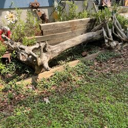 Drift Wood 