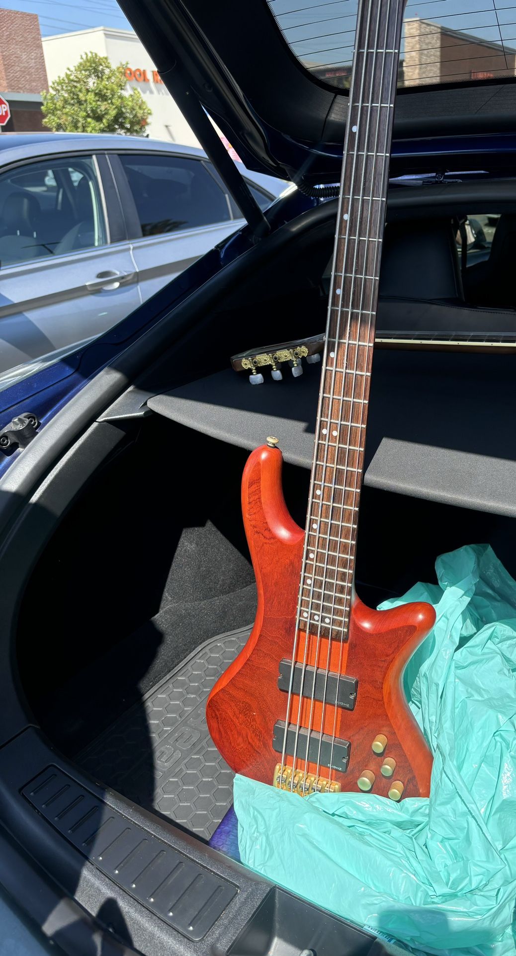 Guitar