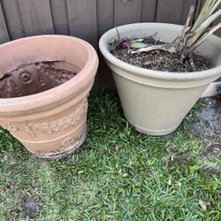 2 large Plastic Flower Pots, One Palm Tree Everything For $30