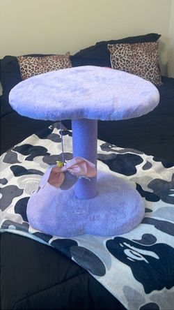 Cat Scratching Post with Perch