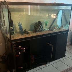 120 Gallons Fish Tank With Stand And Filter 